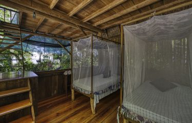 BEACHFRONT ECO LODGE RETREAT IN OSA PENINSULA