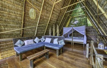 BEACHFRONT ECO LODGE RETREAT IN OSA PENINSULA