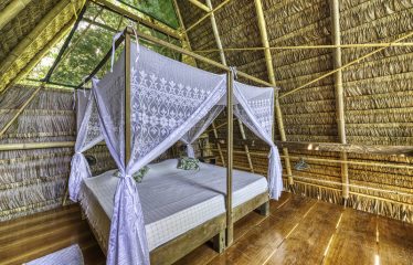 BEACHFRONT ECO LODGE RETREAT IN OSA PENINSULA