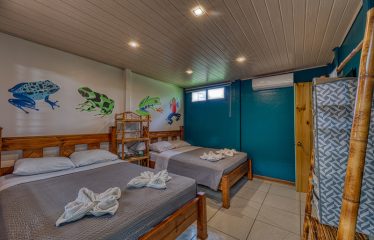 BEAUTIFUL 17 ROOM HOTEL IN UVITA