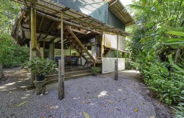 BEACHFRONT ECO LODGE RETREAT IN OSA PENINSULA