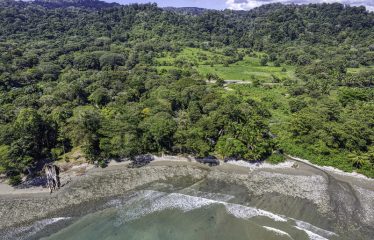 BEACHFRONT ECO LODGE RETREAT IN OSA PENINSULA