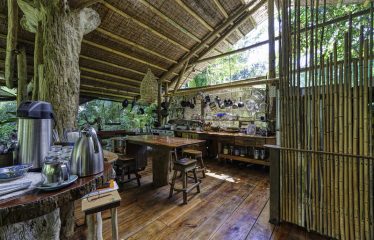 BEACHFRONT ECO LODGE RETREAT IN OSA PENINSULA