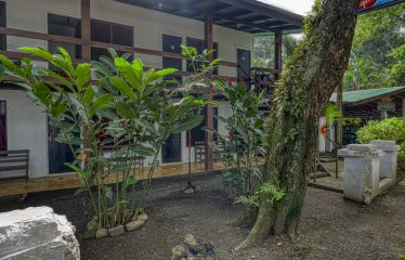 Beachfront Hotel & Restaurant in Dominical – 0.4 Acres