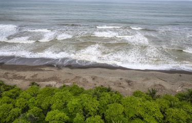 Beachfront Hotel & Restaurant in Dominical – 0.4 Acres