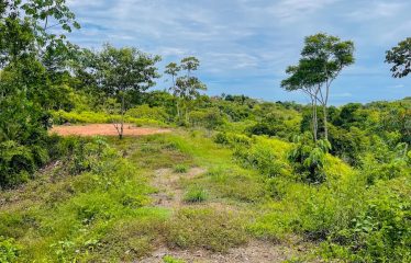 LUXURY BRAND NEW HOME IN OJOCHAL – 10 ACRES PROPERTY