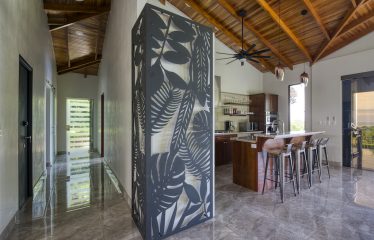 LUXURY OCEAN VIEW HOME WITH EXTRA LOT IN PHASE 11 OJOCHAL