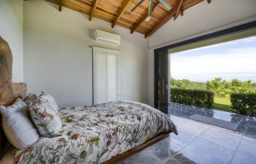 LUXURY OCEAN VIEW HOME WITH EXTRA LOT IN PHASE 11 OJOCHAL