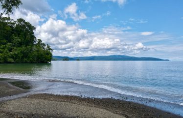 SPECTACULAR BEACHFRONT PROPERTY WITH 3 HOUSES ON 71 ACRES