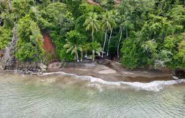 SPECTACULAR BEACHFRONT PROPERTY WITH 3 HOUSES ON 71 ACRES