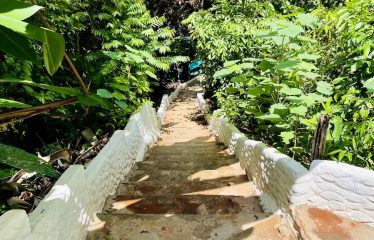 SPECTACULAR BEACHFRONT PROPERTY WITH 3 HOUSES ON 71 ACRES