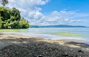 SPECTACULAR BEACHFRONT PROPERTY WITH 3 HOUSES ON 71 ACRES