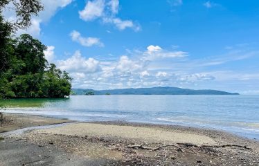 SPECTACULAR BEACHFRONT PROPERTY WITH 3 HOUSES ON 71 ACRES