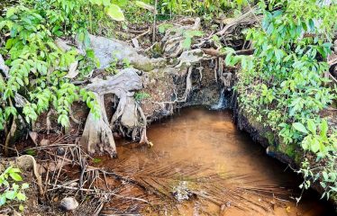 SPECTACULAR BEACHFRONT PROPERTY WITH 3 HOUSES ON 71 ACRES