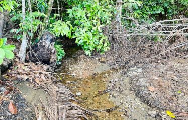 SPECTACULAR BEACHFRONT PROPERTY WITH 3 HOUSES ON 71 ACRES