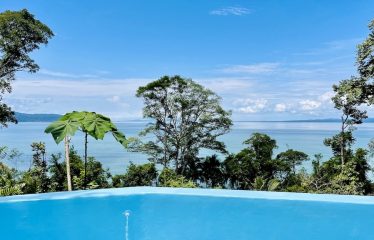 SPECTACULAR BEACHFRONT PROPERTY WITH 3 HOUSES ON 71 ACRES