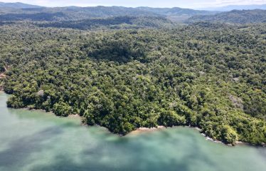 SPECTACULAR BEACHFRONT PROPERTY WITH 3 HOUSES ON 71 ACRES