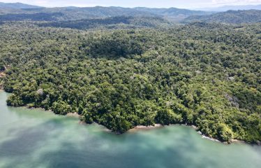 SPECTACULAR BEACHFRONT PROPERTY WITH 3 HOUSES ON 71 ACRES