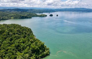 SPECTACULAR BEACHFRONT PROPERTY WITH 3 HOUSES ON 71 ACRES