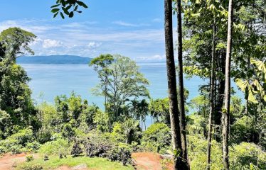 SPECTACULAR BEACHFRONT PROPERTY WITH 3 HOUSES ON 71 ACRES