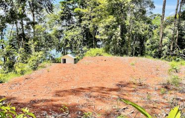 SPECTACULAR BEACHFRONT PROPERTY WITH 3 HOUSES ON 71 ACRES