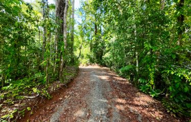 SPECTACULAR BEACHFRONT PROPERTY WITH 3 HOUSES ON 71 ACRES