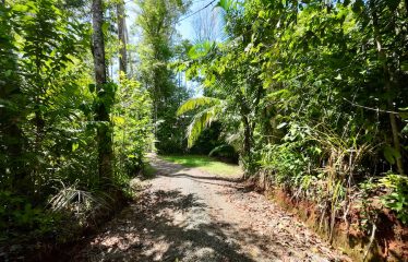 SPECTACULAR BEACHFRONT PROPERTY WITH 3 HOUSES ON 71 ACRES