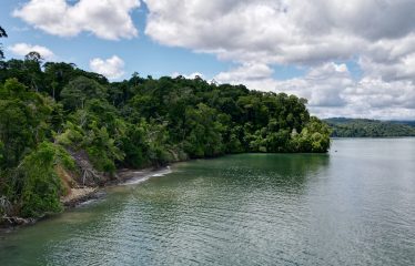 SPECTACULAR BEACHFRONT PROPERTY WITH 3 HOUSES ON 71 ACRES