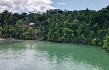 SPECTACULAR BEACHFRONT PROPERTY WITH 3 HOUSES ON 71 ACRES