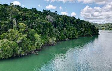 SPECTACULAR BEACHFRONT PROPERTY WITH 3 HOUSES ON 71 ACRES