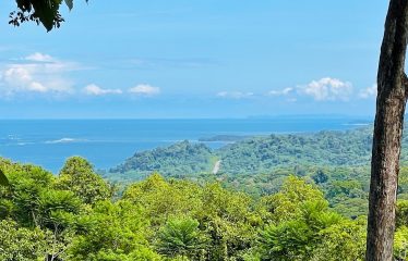 LOT FOR SALE WITH AMAZING OCEAN VIEWS UNDER $200K