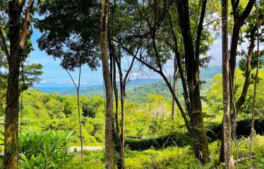 LOT FOR SALE WITH AMAZING OCEAN VIEWS UNDER $200K