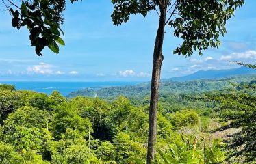 LOT FOR SALE WITH AMAZING OCEAN VIEWS UNDER $200K