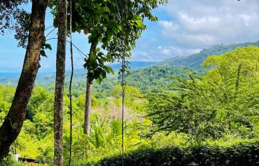 LOT FOR SALE WITH AMAZING OCEAN VIEWS UNDER $200K