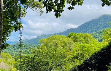 LOT FOR SALE WITH AMAZING OCEAN VIEWS UNDER $200K