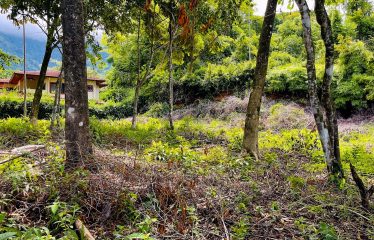 LOT FOR SALE WITH AMAZING OCEAN VIEWS UNDER $200K