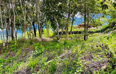 LOT FOR SALE WITH AMAZING OCEAN VIEWS UNDER $200K