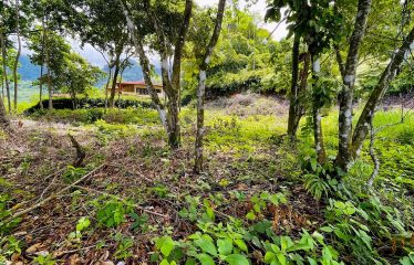 LOT FOR SALE WITH AMAZING OCEAN VIEWS UNDER $200K