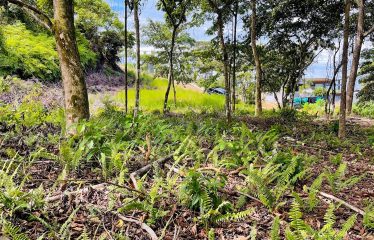 LOT FOR SALE WITH AMAZING OCEAN VIEWS UNDER $200K