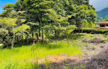 LOT FOR SALE WITH AMAZING OCEAN VIEWS UNDER $200K