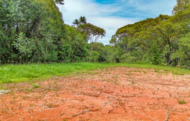 HOME ,LAND, DINNING AREA AND EXTRA LAND TO BUILD