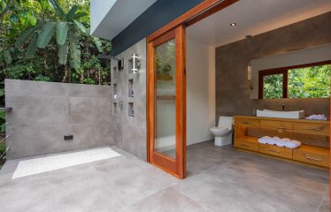 BEAUTIFUL AND PRIVATE PROPERTY WITH JUNGLE AND OCEAN VIEWS , HOUSE AND GUEST HOUSE – 19.78 Acres