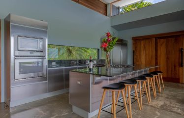 BEAUTIFUL AND PRIVATE PROPERTY WITH JUNGLE AND OCEAN VIEWS , HOUSE AND GUEST HOUSE – 19.78 Acres