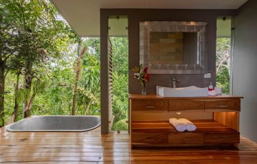 BEAUTIFUL AND PRIVATE PROPERTY WITH JUNGLE AND OCEAN VIEWS , HOUSE AND GUEST HOUSE – 19.78 Acres