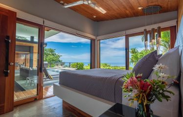 BEAUTIFUL AND PRIVATE PROPERTY WITH JUNGLE AND OCEAN VIEWS , HOUSE AND GUEST HOUSE – 19.78 Acres