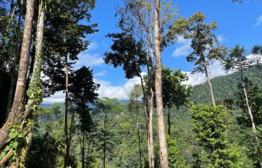 MOUNTAIN VIEW 4 BEDROOM HOME IN UVITA