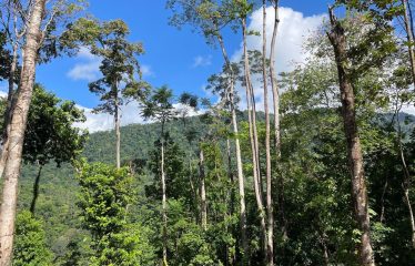 MOUNTAIN VIEW 4 BEDROOM HOME IN UVITA