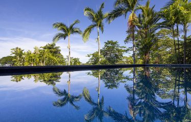 BEAUTIFUL AND PRIVATE PROPERTY WITH JUNGLE AND OCEAN VIEWS , HOUSE AND GUEST HOUSE – 19.78 Acres