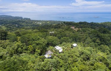 BEAUTIFUL AND PRIVATE PROPERTY WITH JUNGLE AND OCEAN VIEWS , HOUSE AND GUEST HOUSE – 19.78 Acres