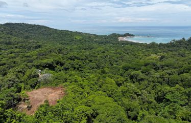 6 ACRES LOT WITH AMAZING OCEAN VIEWS IN DOMINICALITO